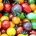 Photo 100Pièces Mélanger Des Graines De Tomates Cerises Arc-en-ciel Héritage Coloré, Graines De Tomates Naines Pour La Plantation De Jardin à La Maison examen
