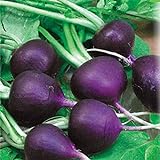 Seeds Radish Purple Rare 20 Days Vegetable for Planting Non GMO Photo, new 2024, best price $8.99 review