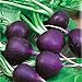 Photo Seeds Radish Purple Rare 20 Days Vegetable for Planting Non GMO review