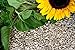 Foto Vogelpick Sonnenblumen geschält 25 kg Rezension