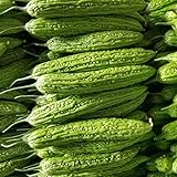 50 Pcs Non-GMO Bitter Gourd Seeds Bitter Melon Seeds Bitter Squash Seeds Balsam Pear Photo, new 2024, best price $17.89 review