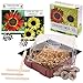 Foto Set de cultivo de girasoles - juego de plantación de mini-invernadero, semillas y tierra - idea de regalo (Eclipse + Amarillo lima) revisión