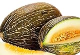 50 Piel de Sapo Melon Seeds | Non-GMO | Heirloom | Fresh Garden Seeds Photo, new 2024, best price $6.95 review