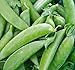 Photo Pea Seed, Sugar Snap Pea, Heirloom, Non GMO, 20 Seeds, Perfect Peas, Country Creek Acres review