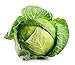 Photo Brunswick Cabbage Seeds, 300 Heirloom Seeds Per Packet, Non GMO Seeds, Botanical Name: Brassica oleracea, Isla's Garden Seeds review
