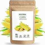 SEEDRA 70+ Corn Seeds for Indoor and Outdoor Planting, Non GMO Hybrid Seeds for Home Garden - 1 Pack Photo, new 2024, best price $6.99 review