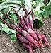 Photo Beets, Cylindra, Heirloom, 100 Seeds, Tender N Sweet, Cylindrical Shape review