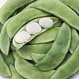 Henderson Baby Lima Beans, 30 Heirloom Seeds Per Packet, Non GMO Seeds, Botanical Name: Phaseolus lunatus, Isla's Garden Seeds Photo, new 2024, best price $5.99 ($0.20 / Count) review