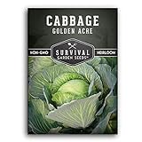 Survival Garden Seeds - Golden Acres Green Cabbage Seed for Planting - Packet with Instructions to Plant and Grow Yellow-White Cabbages in Your Home Vegetable Garden - Non-GMO Heirloom Variety Photo, new 2024, best price $4.99 review