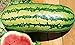 Photo 25 Garrisonian Watermelon Seeds | Non-GMO | Heirloom | Instant Latch Fresh Garden Seeds review