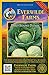 Photo Everwilde Farms - 500 Early Round Dutch Cabbage Seeds - Gold Vault Jumbo Seed Packet review