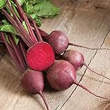 David's Garden Seeds Beet Red Ace 1239 (Red) 200 Non-GMO, Hybrid Seeds Photo, new 2024, best price $3.95 review