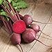Photo David's Garden Seeds Beet Red Ace 1239 (Red) 200 Non-GMO, Hybrid Seeds review