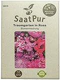 SaatPur Sommerblumenmischung Traumgarten in Rosa Samen Saatgut Blumenmischung Mix Foto, neu 2024, bester Preis 3,99 € Rezension