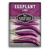 Survival Garden Seeds - Long Purple Eggplant Seed for Planting - Packet with Instructions to Plant and Grow Skinny Italian Aubergines in Your Home Vegetable Garden - Non-GMO Heirloom Variety Photo, new 2024, best price $4.99 review