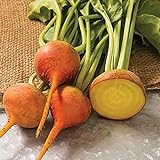 David's Garden Seeds Beet Boldor 3122 (Yellow) 200 Non-GMO, Open Pollinated Seeds Photo, new 2024, best price $3.95 review
