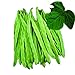 Photo Park Seed Algarve French Climbing Bean Seeds, Pack of 100 Seeds review