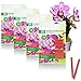 Photo com-four® 80x Bâtonnets d'engrais pour orchidées - Engrais équilibré pour orchidées pour Une Floraison éclatante. examen