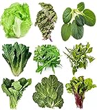 Greens Seeds Collection, 2500+ Seeds, 9 Heirloom Varieties, Arugula, Beet, Upland Cress, Vates Collard, Red Russian Kale, Crisphead Lettuce, Parris Island Lettuce, Tatsoi Mustard, Viroflay Spinach Photo, new 2024, best price $12.99 review