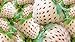 Photo White Strawberry Seeds - 200+ Seeds - White Pineberry Seeds - Made in USA, Ships from Iowa. review