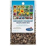 Drought Resistant Tolerant Wildflower Seeds Open-Pollinated Bulk Flower Seed Mix for Beautiful Perennial, Annual Garden Flowers - No Fillers - 1 oz Packet Photo, new 2024, best price $9.69 review