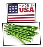 Green Bean Seeds-Heirloom Variety-Bush Bean Planting Seeds-50+ Seeds-USA Grown and Shipped from USA Photo, new 2024, best price $6.99 review