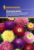 Sperli Blumensamen Prinzeß-Aster Callistephus Mischung, grün Foto, neu 2024, bester Preis 2,01 € Rezension