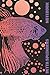 Foto Betta Splendens: Dieses Notizbuch gefällt jedem Fan von Siamesischen Kampffischen | ca. A5 | gepunktete Seiten | Tolles Geschenk für alle Aquaristik-Liebhaber! Rezension