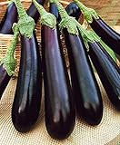 CEMEHA SEEDS - Eggplant Aubergin Black Long Pop Thai Non GMO Vegetable for Planting Photo, new 2024, best price $6.95 ($0.23 / Count) review
