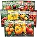 Photo Sow Right Seeds - Tomato Seed Collection for Planting - 10 Varieties with Many Sizes, Shapes, and Colors - Non-GMO Heirloom Packets with Instructions for Growing a Home Vegetable Garden - Great Gift review