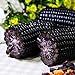 Photo Lot de 10 graines de maïs noir pour plantes, fruits, légumes, jardin, ferme, plantes nutritives – Graines de maïs examen