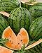 Photo David's Garden Seeds Fruit Watermelon Tendersweet Orange 1342 (Orange) 50 Non-GMO, Heirloom Seeds review