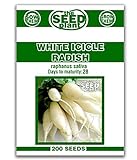 White Icicle Radish Seeds - 200 Seed Non-GMO Photo, new 2024, best price $1.59 ($0.01 / Count) review
