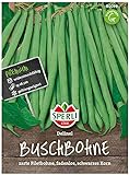80039 Sperli Premium Buschbohnen Samen Delinel | Ertragreich | Fadenlos | Buschbohnen Samen ohne Fäden | Ackerbohnen Saatgut Foto, neu 2024, bester Preis 4,29 € Rezension