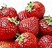 Photo 100 Pcs Strawberry Seeds - Strawberry Seeds for Planting Outdoor - Non GMO - High Germination - High Yield - Sweet and Melt in The Mouth - Heirloom Fruit Seed review