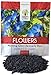 Photo Morning Glory Seeds Heavenly Blue - Large 1 Ounce Packet - Over 1,000 Flower Seeds review