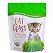 Photo Organic Cat Grass Seed Blend for Planting by Handy Pantry - A Healthy Mix of Organic Wheatgrass Seeds: Barley, Oats, and Rye Seeds - Non-GMO Wheat Grass Seeds for Pets - Cat Grass Kit Refill (12 oz.) review