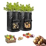 HomeFoundry 10 Gallon Potato Grow Bags – 2 Pack Portable Aeration Fabric with Hook & Loop Window Garden Planting Bags for Vegetables-Carrots-Onion & Tomato’s Photo, new 2024, best price $8.99 review