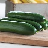 David's Garden Seeds Cucumber Slicing Diva FBA 1007 (Green) 50 Non-GMO, Open Pollinated Seeds Photo, new 2024, best price $6.45 review