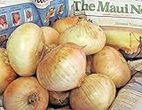 AchmadAnam Somarac - 400+ Maui Sweet Onion Seeds Short Day Spring / Fall Planting Easy - Fresh Seeds Photo, new 2024, best price $16.00 review
