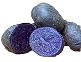 Purple Majesty Seed Potato 6 Tubers - Heirloom - Great Taste! Photo, new 2024, best price $16.57 review