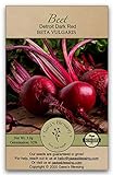 Gaea's Blessing Seeds - Beet Seeds - Detroit Dark Red Non-GMO Seeds with Easy to Follow Planting Instructions - Heirloom 92% Germination Rate 3.0g Photo, new 2024, best price $4.99 review