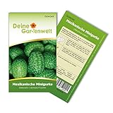 Mexikanische Minigurke Samen - Melothria scabra - Minigurkensamen - Gemüsesamen - Saatgut für 10 Pflanzen Foto, neu 2024, bester Preis 1,99 € (0,20 € / stück) Rezension