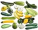 Photo This is a Mix!!! 50+ Zucchini and Squash Mix Seeds 12 Varieties Non-GMO Delicious Grown in USA. Rare, Super Profilic review