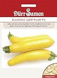 Dürr Samen Zucchini Gold Rush F1, gelbe Früchte Foto, neu 2024, bester Preis 3,67 € Rezension