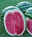 Foto Melone - Wassermelone Crimson Sweet - 10 Samen Rezension