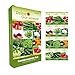 Foto Gemüsesamen Set - 12 Sorten Samen - Saatgut Sortiment - Anzuchtset für Gemüsepflanzen - Geschenkset - Tomaten, Gurken, Radieschen, Zucchini, Paprika und mehr Rezension