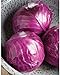 Photo David's Garden Seeds Cabbage Ruby Perfection 7742 (Red) 100 Non-GMO, Hybrid Seeds review