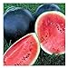 Photo 25 Black Diamond Watermelon Seeds | Non-GMO | Heirloom | Instant Latch Garden Seeds review