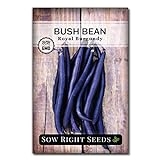 Sow Right Seeds - Royal Burgundy Bean Seed for Planting - Non-GMO Heirloom Packet with Instructions to Plant a Home Vegetable Garden Photo, new 2024, best price $5.49 review